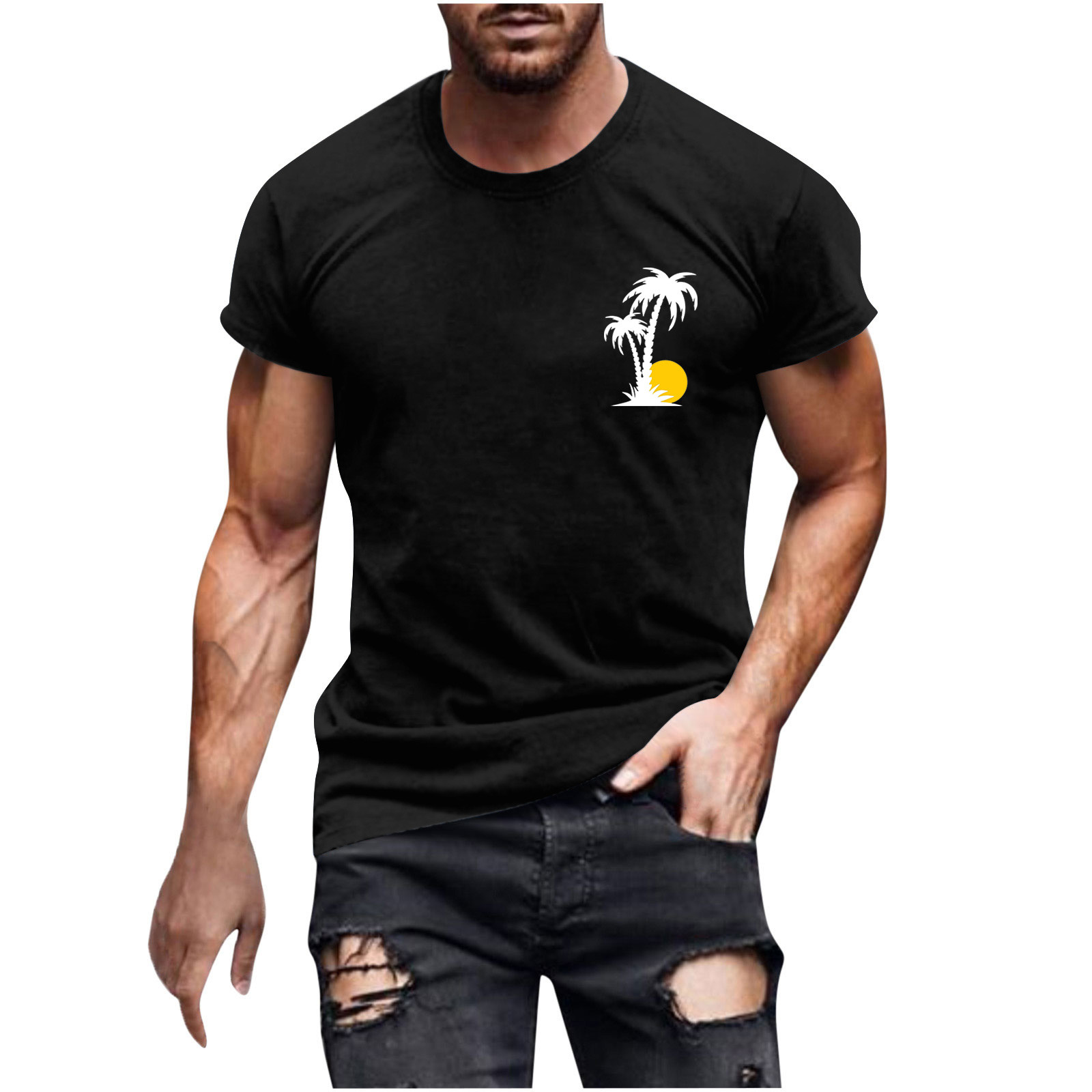Men's Summer Shirts Casual Short Sleeve Tropical Graphic Athletic Tees Hawaiian Loose Beach Vacation T Shirts Pullover